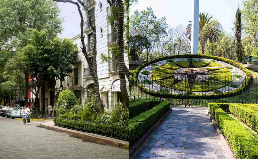 colonia Del Valle, zona familiar para hospedarse en Ciudad de México