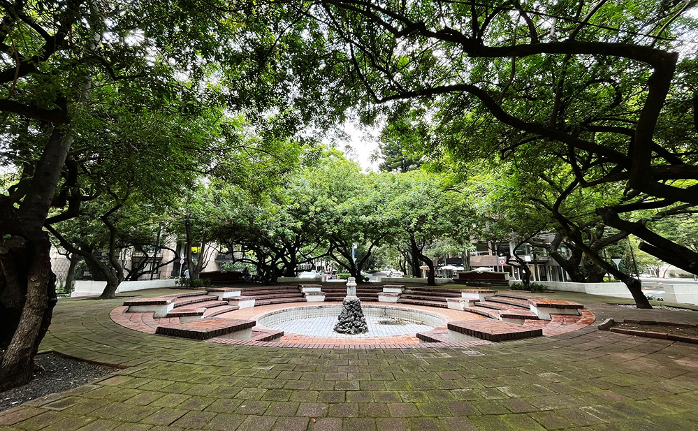 Polanco, zona de lujo, gastronomía y cultura en Ciudad de México