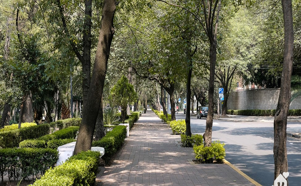 Polanco, zona de lujo, gastronomía y cultura en Ciudad de México