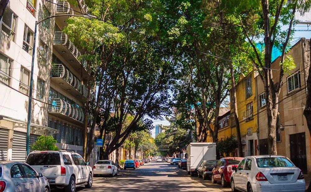 Roma Sur y Escandón, zonas para vivir como local en Ciudad de México