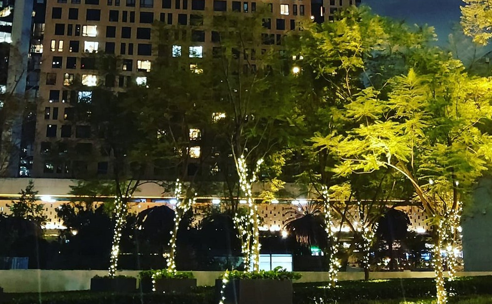 Vista nocturna de Antara Fashion Hall en Polanco, Ciudad de México, con árboles iluminados, áreas verdes y arquitectura moderna en una exclusiva zona comercial y residencial.