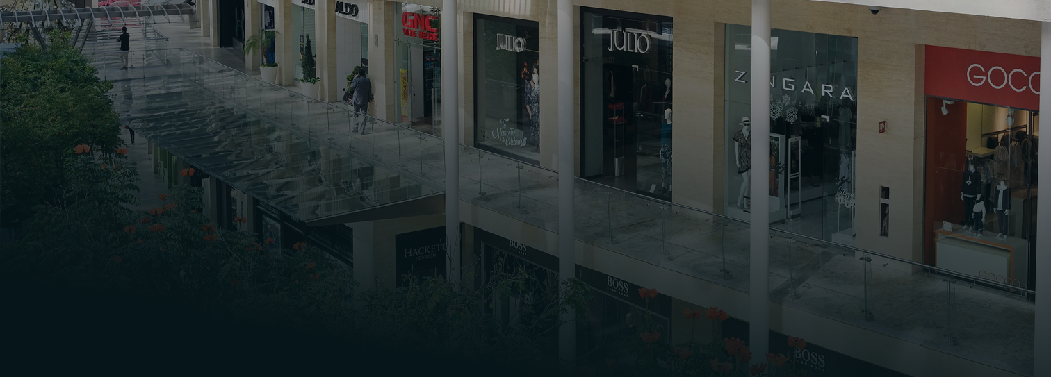 Pasillo de centro comercial en Polanco, Ciudad de México, con boutiques de moda, arquitectura moderna y áreas peatonales rodeadas de vegetación en una exclusiva zona de compras.
