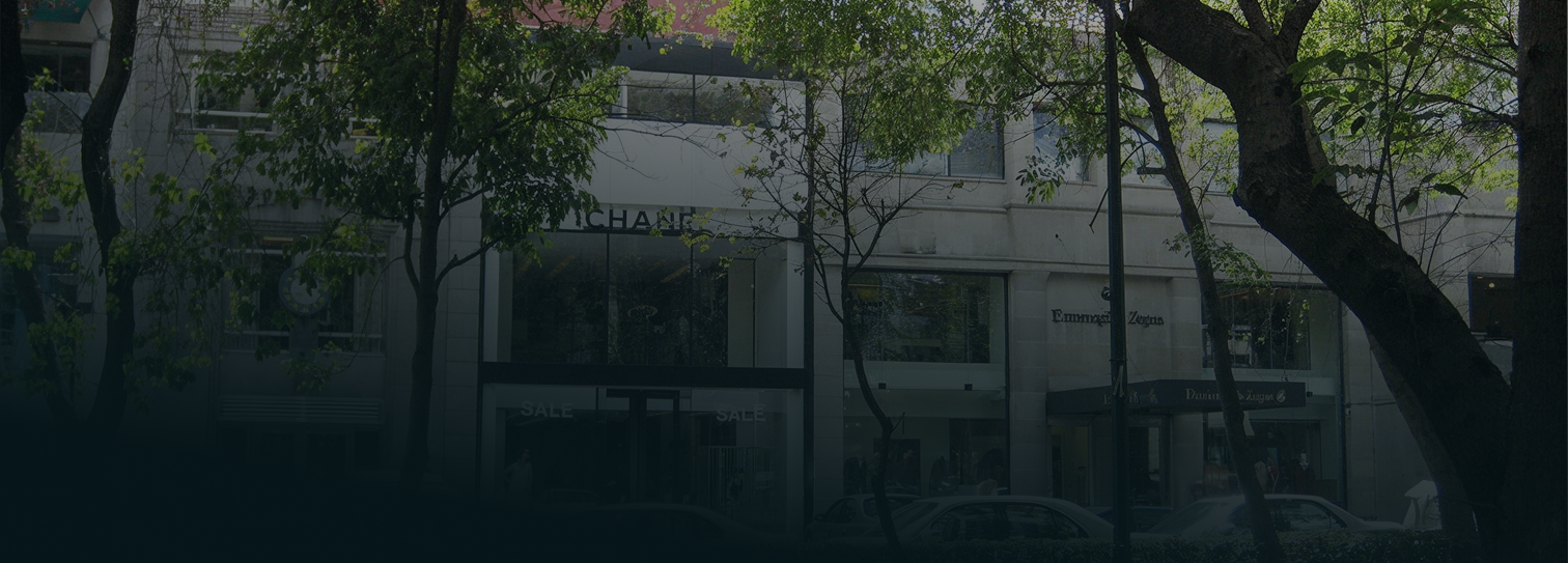 Fachadas de tiendas de marcas de lujo a lo largo de la Avenida Presidente Masaryk en Polanco, con autos circulando y árboles en la acera durante el día.