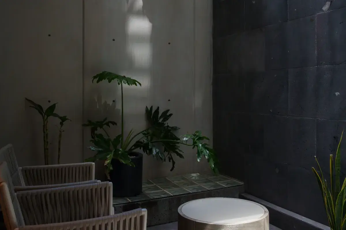 Luxury apartment with an interior terrace featuring modern finishes and a private atmosphere